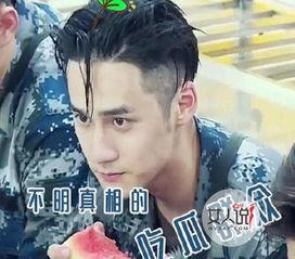 娱乐圈的吃瓜影帝贫道非常帅,影帝贫道之“非常帅”的吃瓜传奇